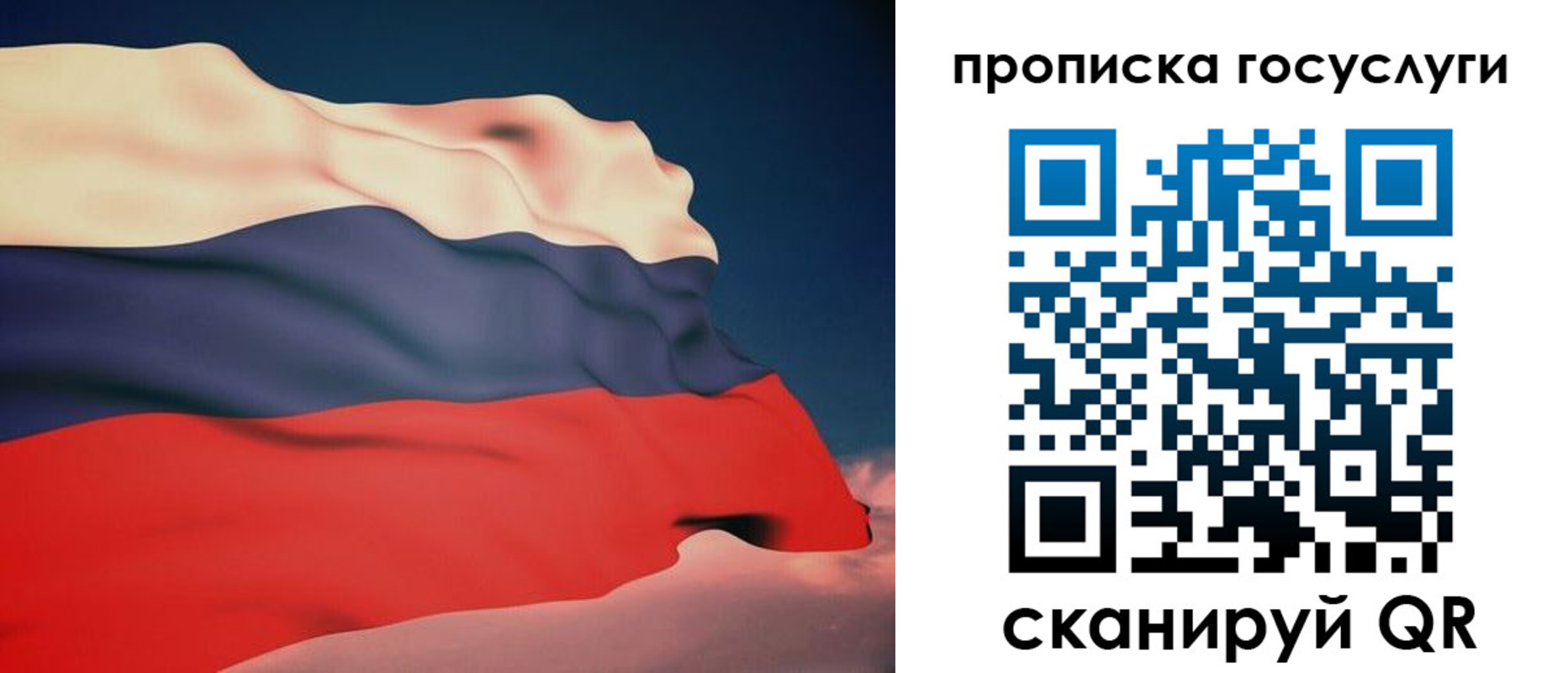 временная регистрация в Щиграх